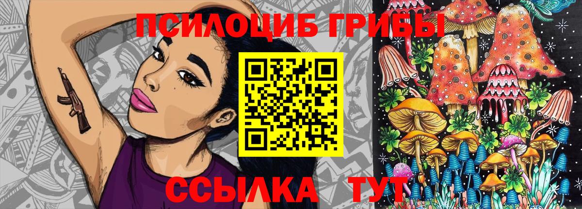 купить закладку  Галлюциногенные грибы MAGIC MUSHROOMS  Вход с VPN  Каменск-Уральский  Галлюциногенные грибы Psilocybe 