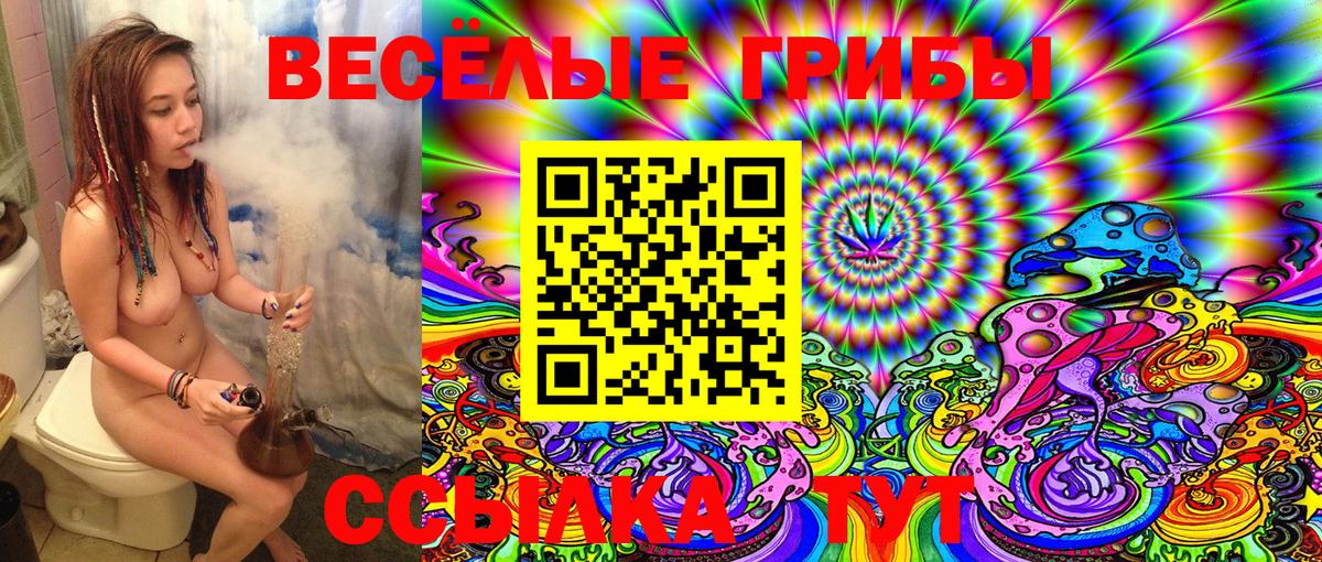 Галлюциногенные грибы Psilocybine cubensis Каменск-Уральский